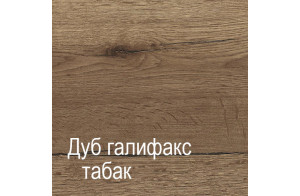 Настенная вешалка для одежды ПХ-10 (ДГТ) Ханна с полкой