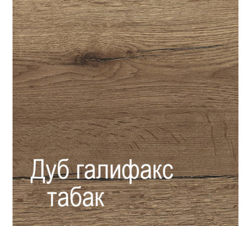 Шкаф-пенал для одежды ПХ-1 (ДГТ) Ханна